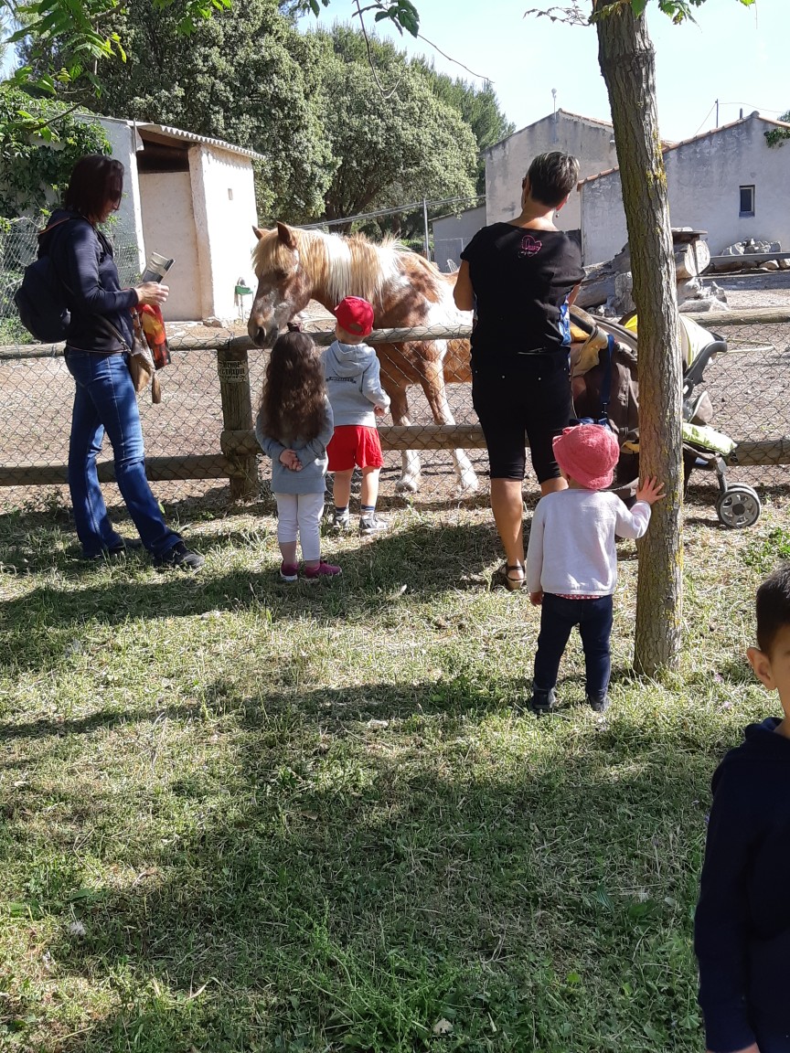Resized_20190523_094949