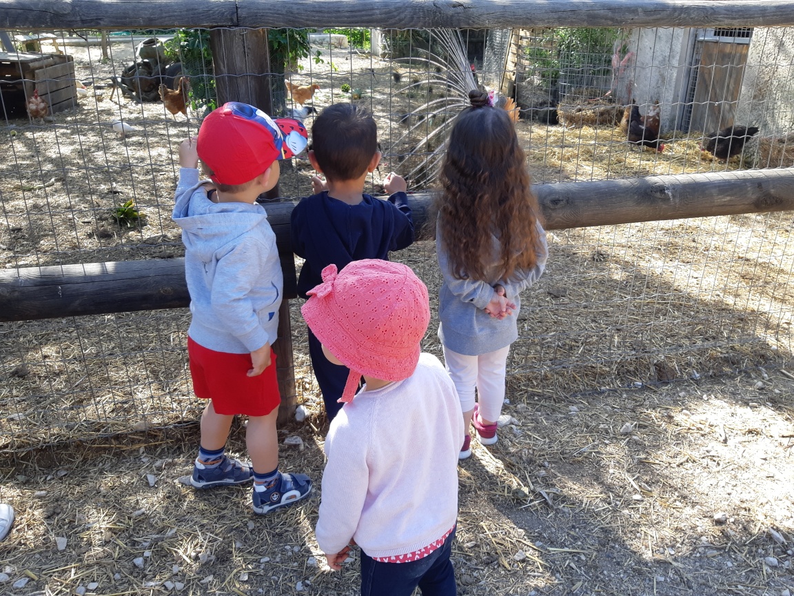 Resized_20190523_095609