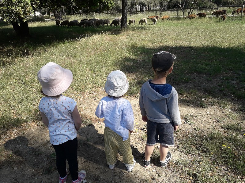Resized_20190523_102800