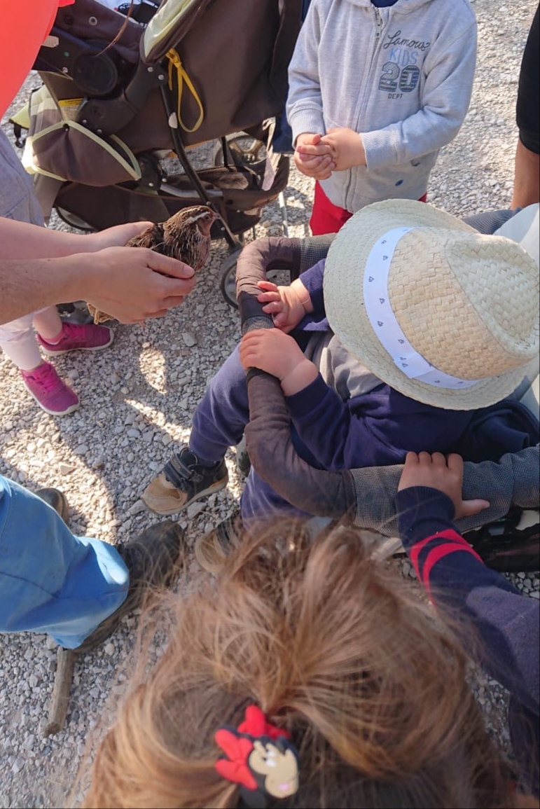 Resized_20190523_123411
